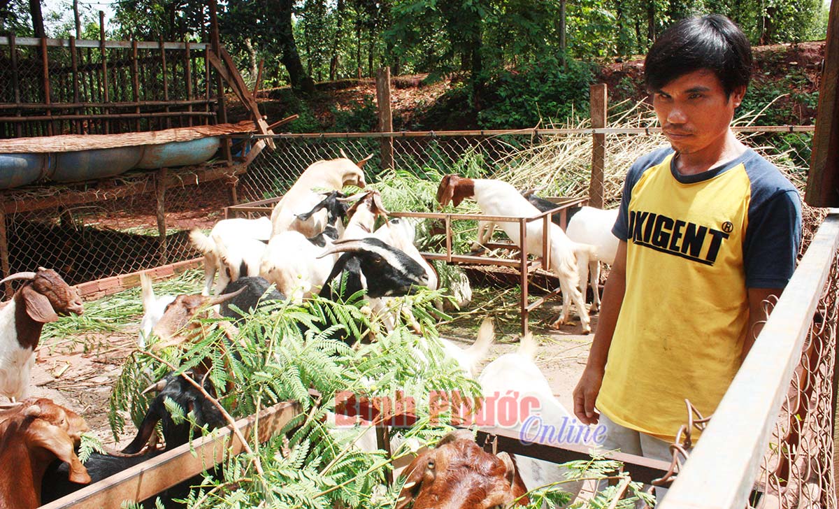 Lộc Ninh phát huy vốn vay giải quyết việc làm