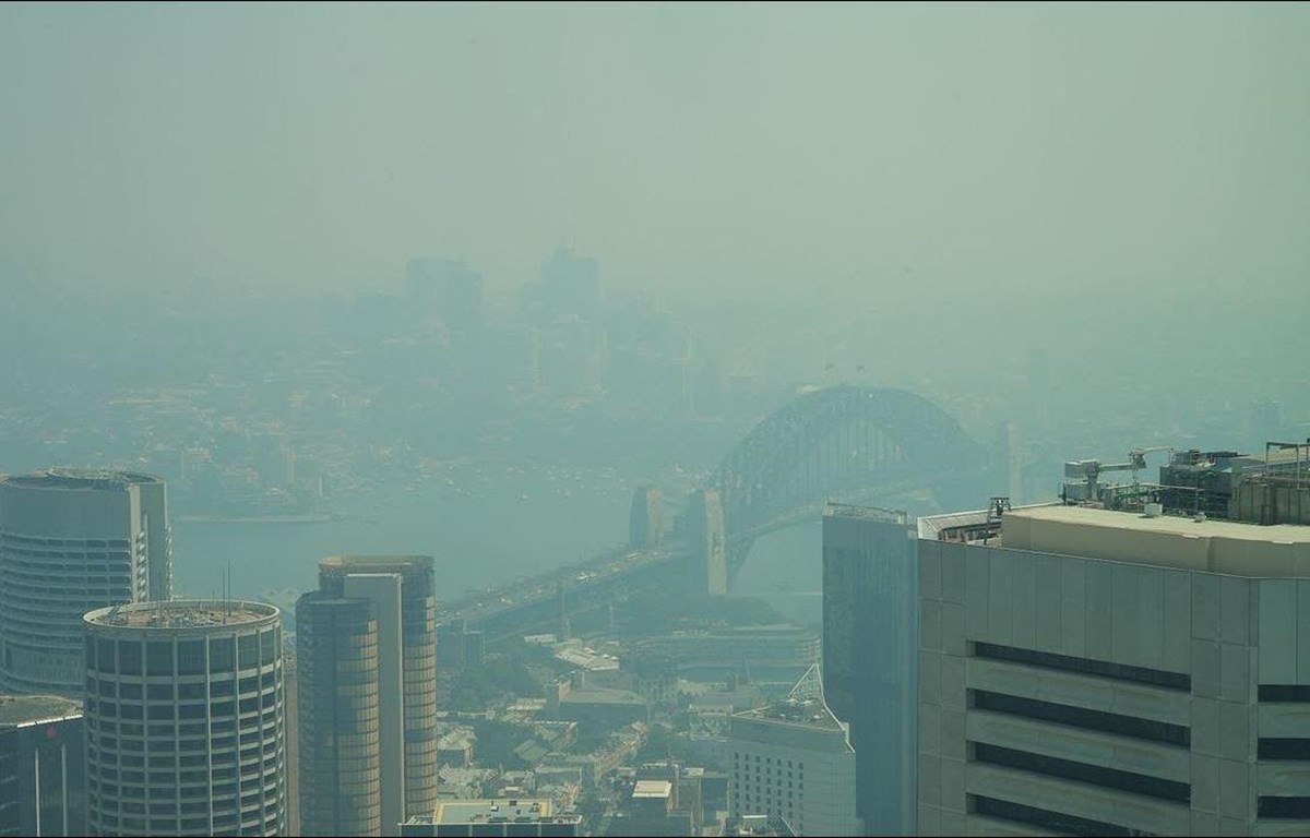 Sydney chìm trong khói mù dày đặc. (Nguồn: AP)