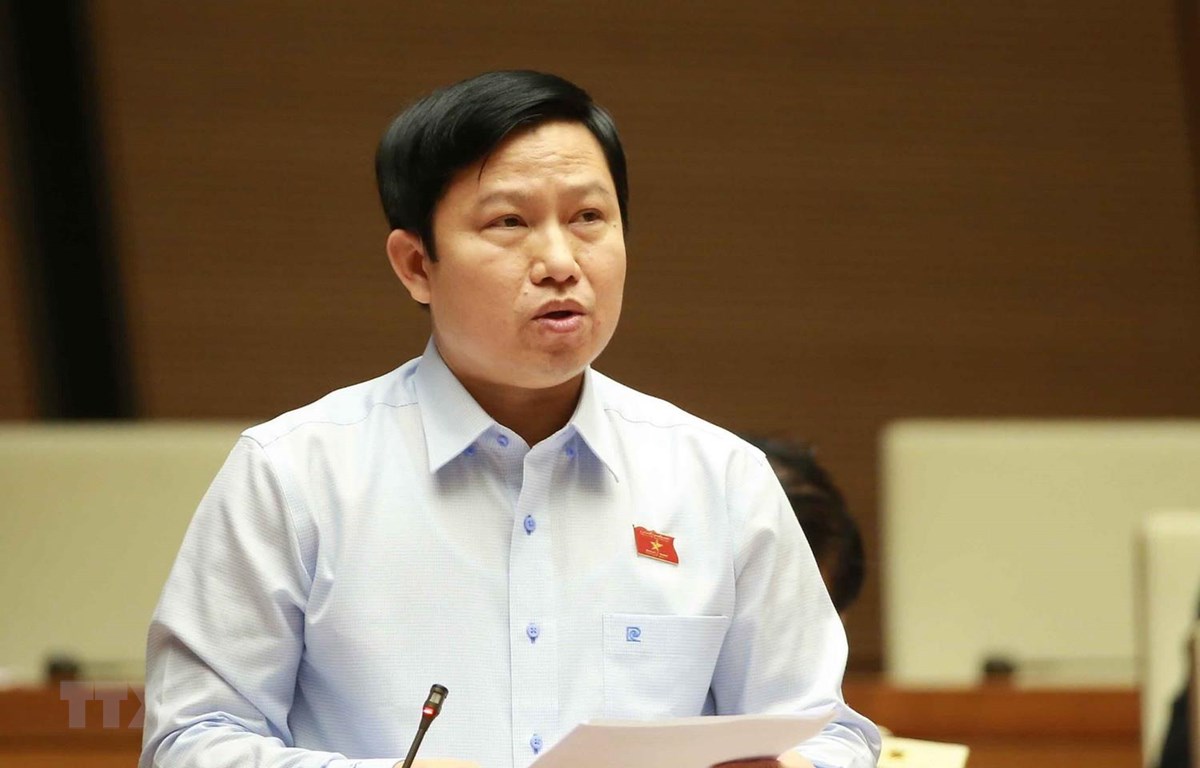 Đại biểu Quốc hội tỉnh Tiền Giang Lê Quang Trí phát biểu ý kiến. (Ảnh: Doãn Tấn/TTXVN)