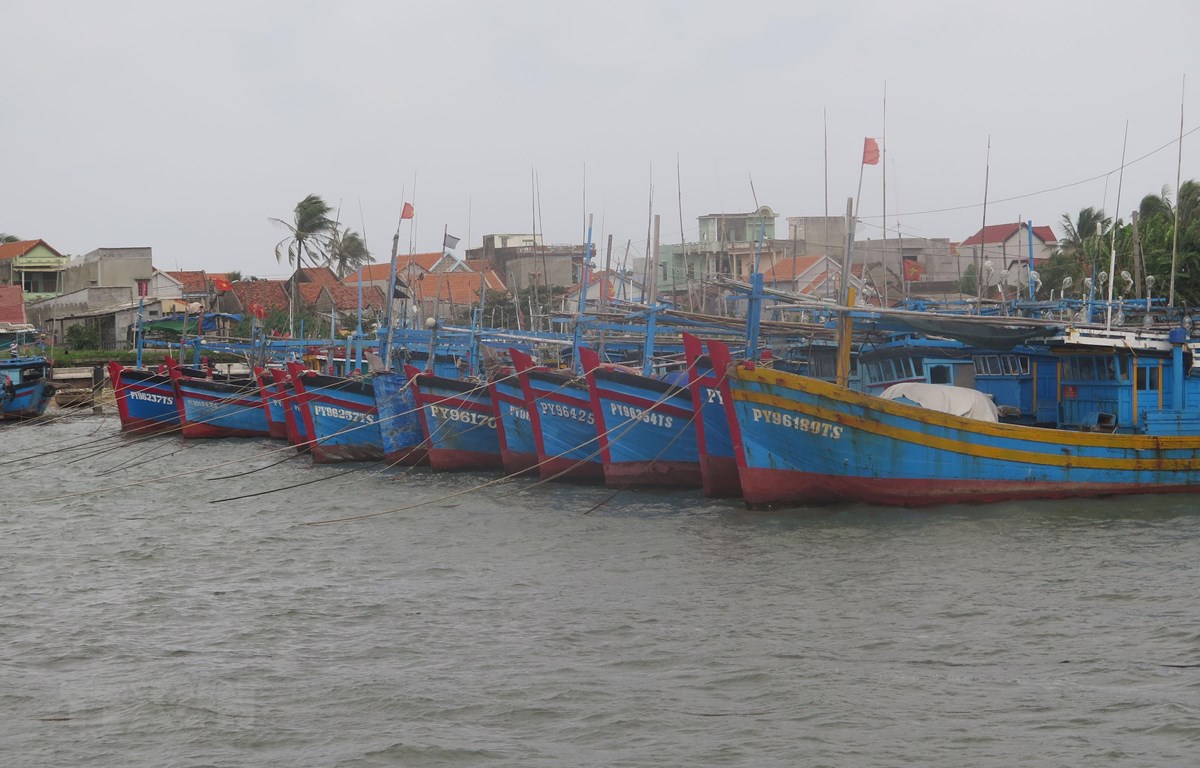 Các tàu thuyền đánh bắt thủy sản neo đậu tránh bão tại cảng cá Đông Tác, phường Phú Đông, thành phố Tuy Hòa, Phú Yên. (Ảnh: Phạm Cường/TTXVN)
