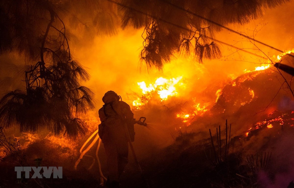 Lính cứu hỏa nỗ lực dập lửa cháy rừng lan rộng tại Los Angeles, Mỹ. (Ảnh: THX/TTXVN)
