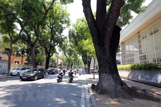 Mien Bac nang am, Nam Bo co nang nong 36 do C hinh anh 1