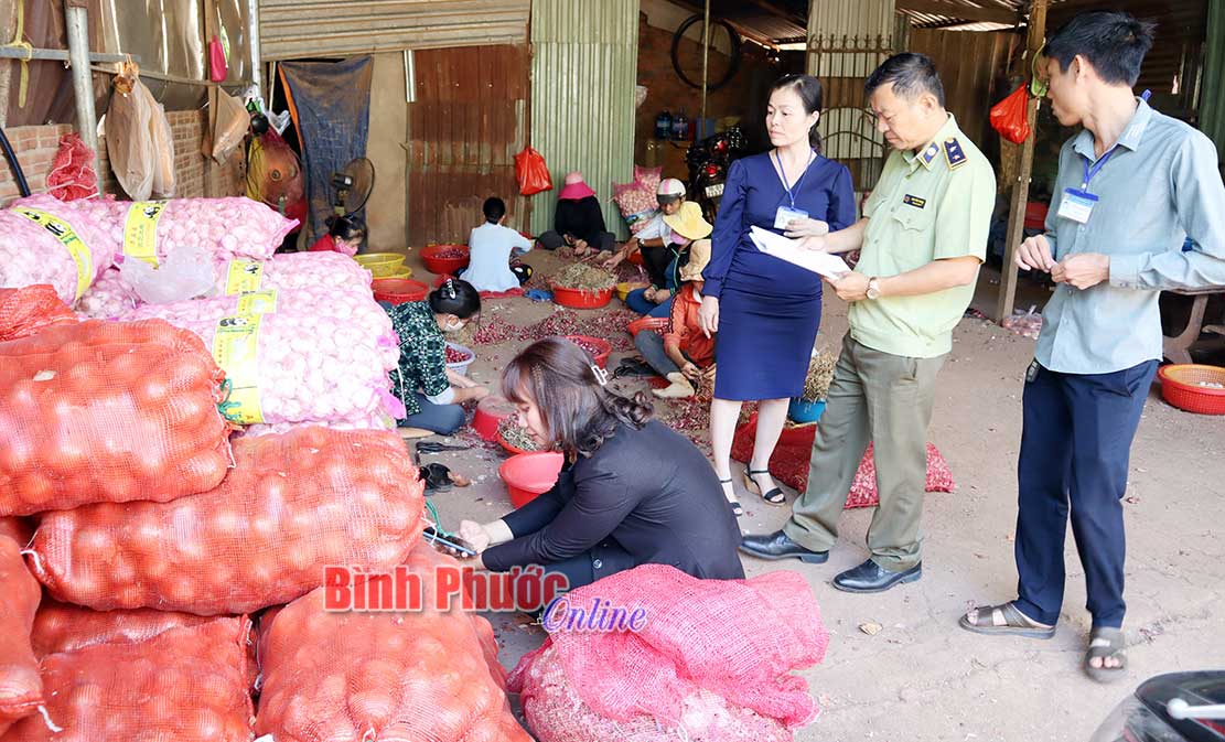 1.200kg hành, tỏi không rõ nguồn gốc xuất xứ