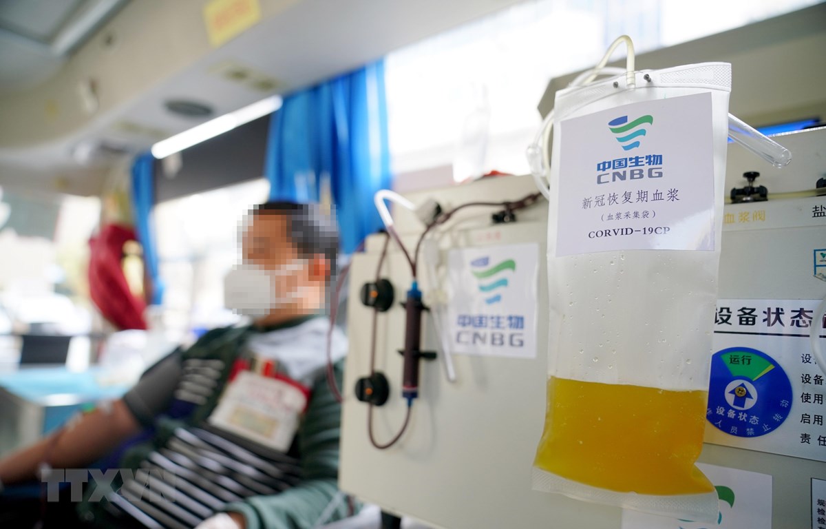 Một bệnh nhân được chữa khỏi dịch COVID-19 tình nguyện hiến huyết tương tại Trung tâm huyết học Hình Đài, tỉnh Hà Bắc, Trung Quốc ngày 23/2/2020. (Ảnh: THX/TTXVN)