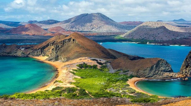 Ecuador phat hien 30 loai dong vat khong xuong song moi o Galapagos hinh anh 1