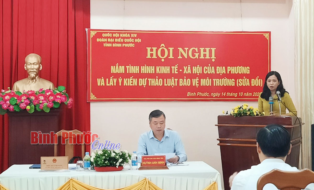 Đoàn ĐBQH tỉnh thông tin kinh tế