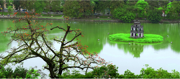 M&ugrave;a hoa gạo