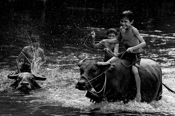 Ng&agrave;y h&egrave; s&ocirc;i động