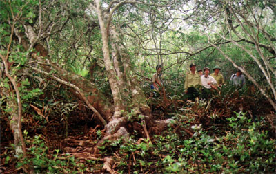 Bái Tử Long