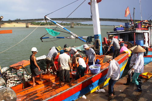 Cá tôm là nguồn sống của người dân Cửa Việt