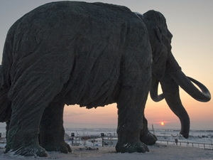 Phát hiện xương voi mamút phương Nam quý hiếm