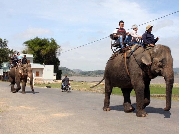 Tăng cường hợp tác đưa du khách Nga đến Đắk Lắk