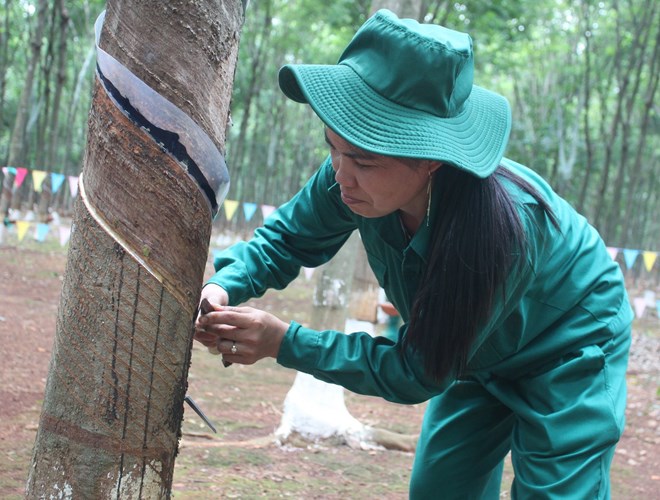 Việt Nam trở thành nước sản xuất cao su thứ ba thế giới