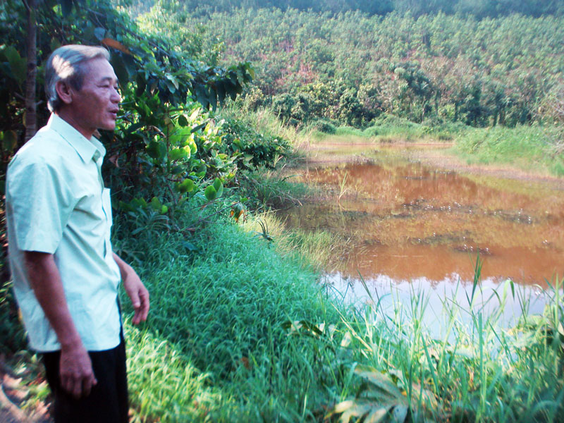 Nuôi cá để… chơi!