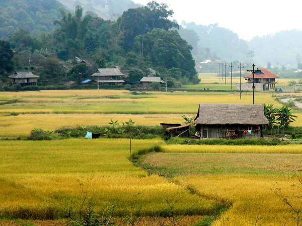 Những đổi thay trên vùng đất Thanh Xương lịch sử