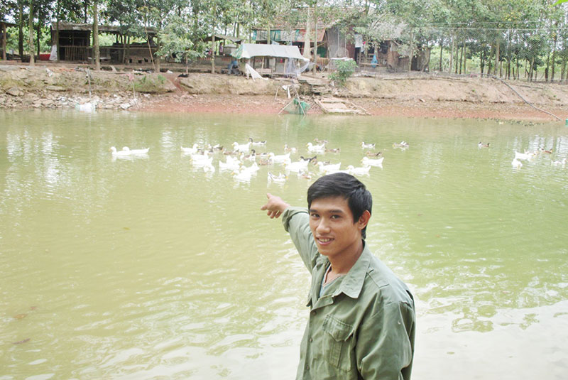 Mô hình V.A.C hiệu quả