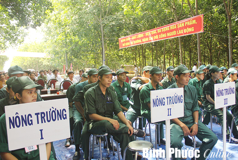 Cao su Lộc Ninh ra quân thu hoạch và thi tay nghề cạo mủ giỏi