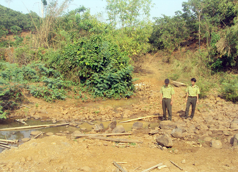 Gồng mình chống hạn (tt)