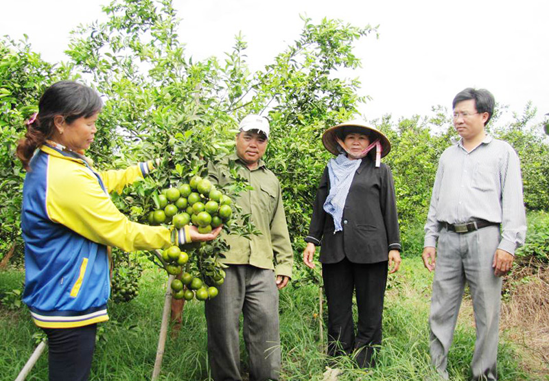 Hiệu quả cao từ các mô hình kinh tế ở Tân Thành