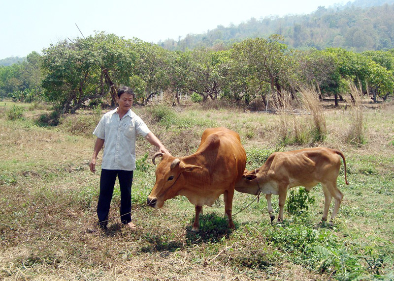 Phát huy nội lực để giảm nghèo