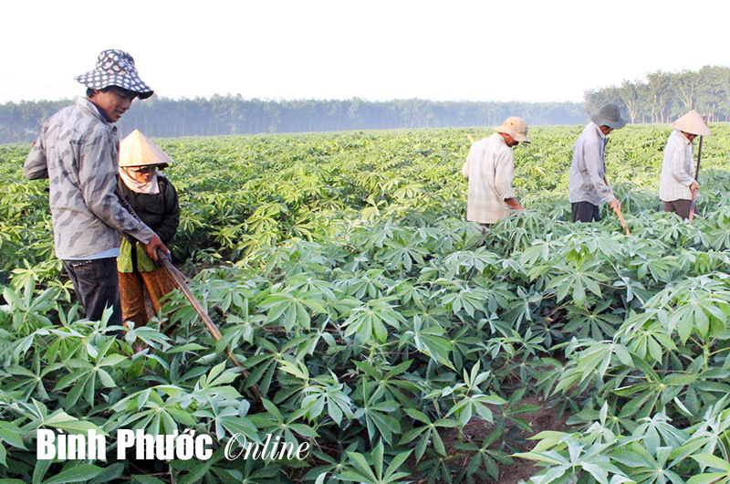 Giải pháp thực hiện thu, chi ngân sách phải mang tính khả thi