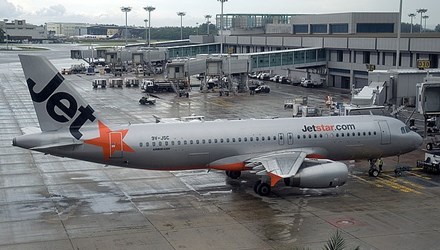 Jetstar hủy chuyến bay vì chim