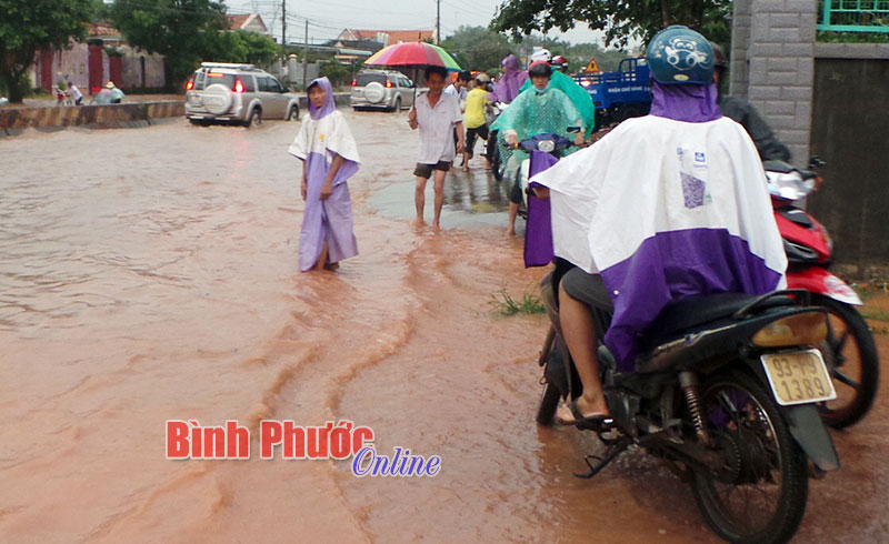 Ấp Thái Dũng ngập trong biển nước