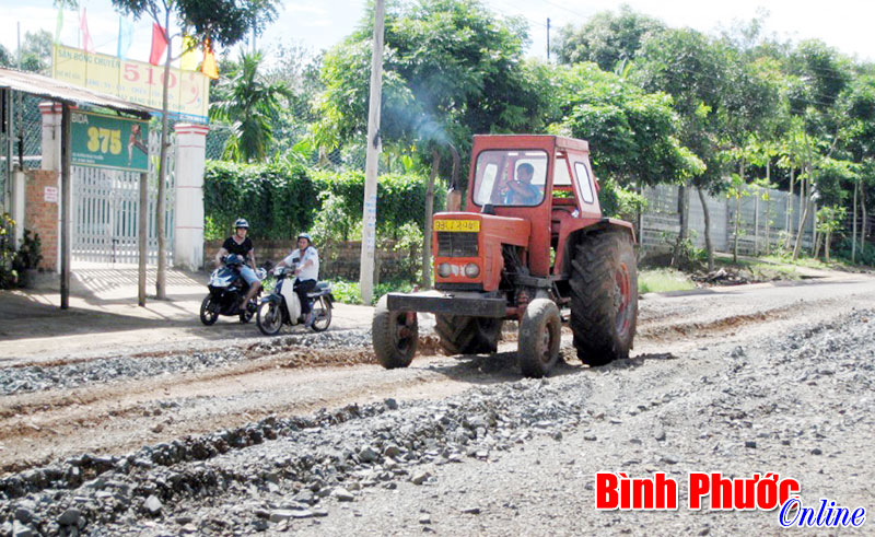 Đường bê tông thành “luống rau”