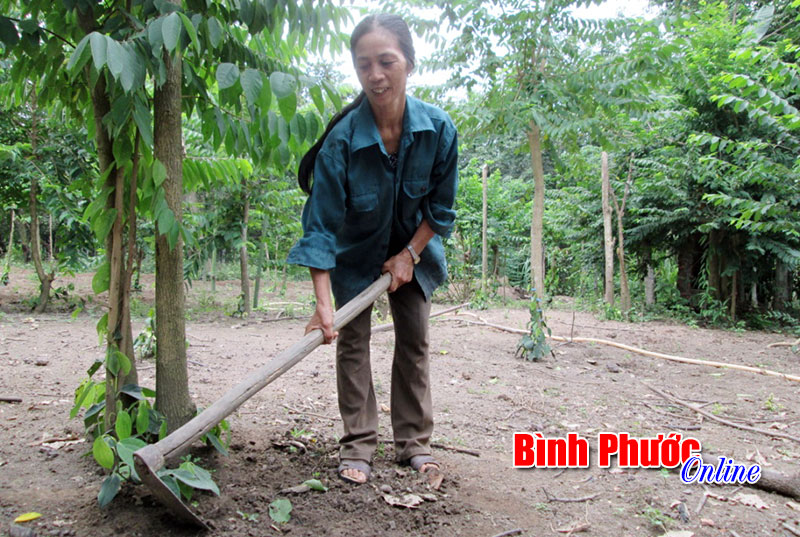 “Nhóm phụ nữ Thanh Hóa” giúp nhau làm kinh tế