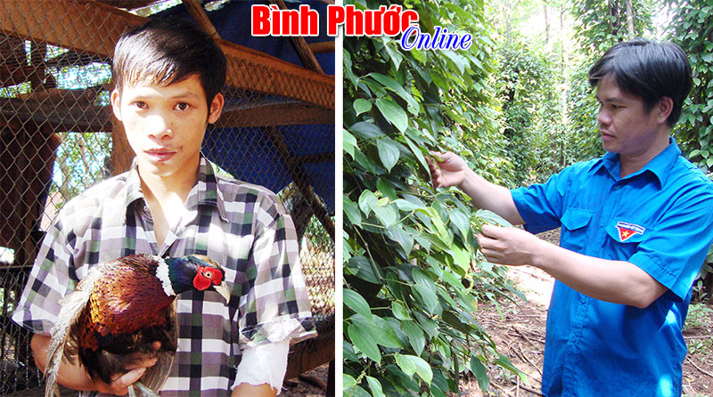 Triệu phú 8X ở vùng biên