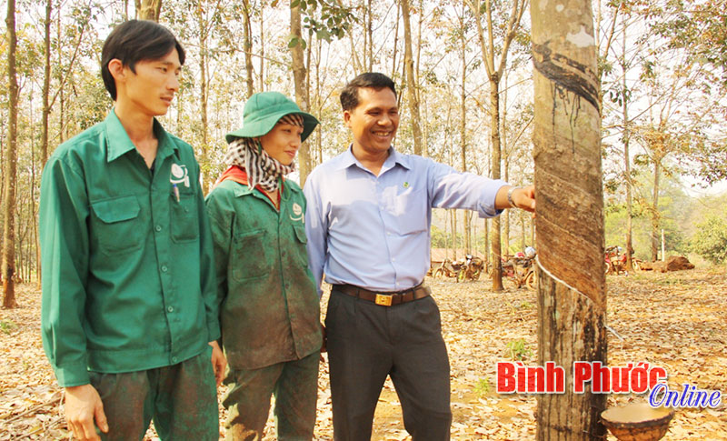 Sức bật ở Nông trường cao su Tân Hưng