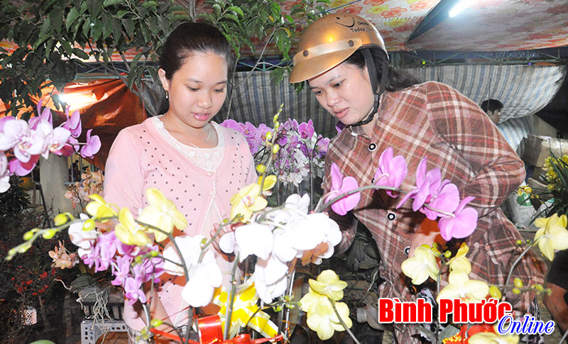 Khai mạc Hội chợ hoa Xuân Ất Mùi 2015