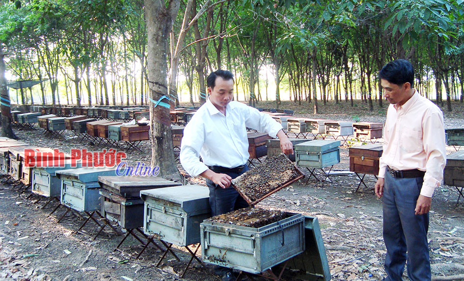 Nông dân Thiện Hưng đi lên từ một phong trào