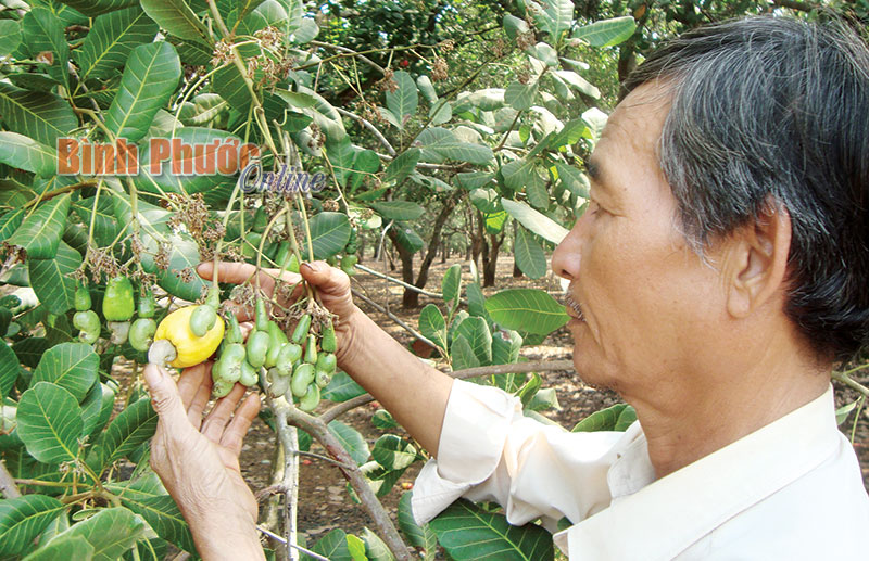 Củng cố thêm quan hệ hữu nghị vĩ đại Việt