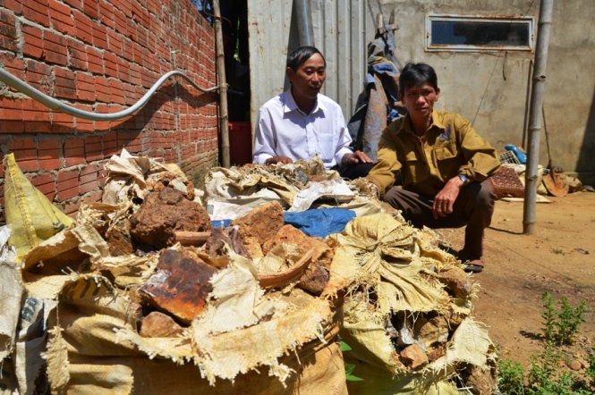 Tiêu hủy quặng vàng trái phép