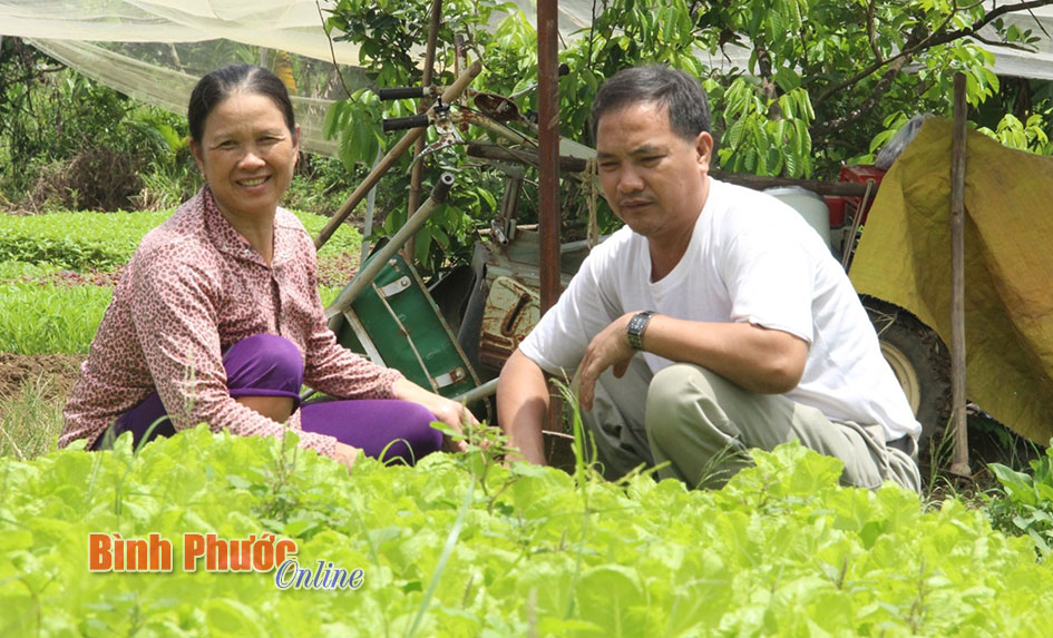 Thu nhập cao với mô hình V.A.C