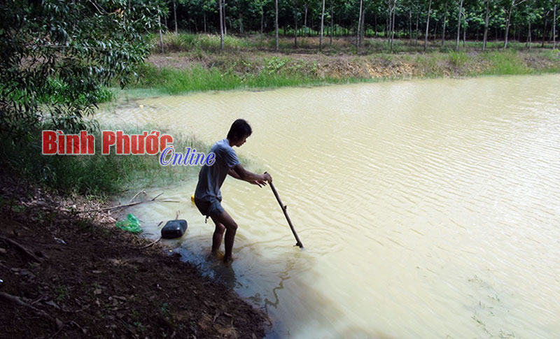 Tắm hồ dẫn đến tử vong