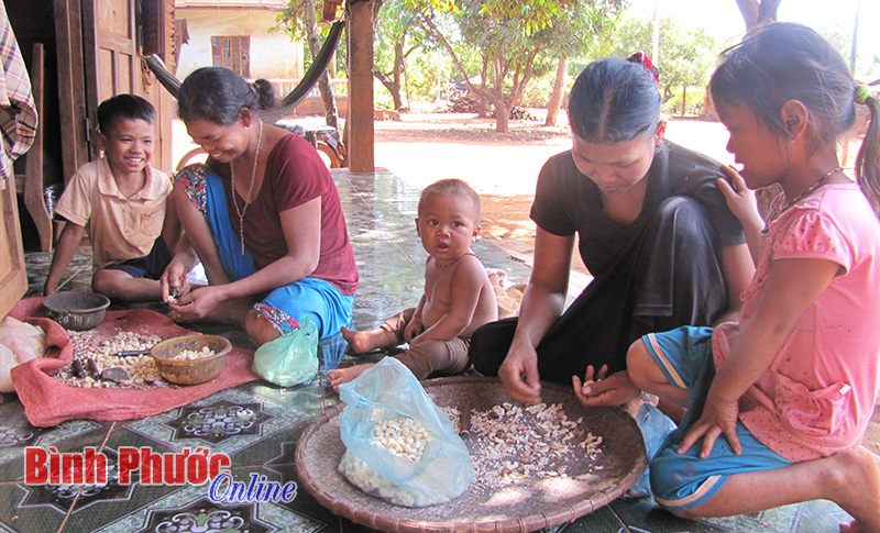 Khó khăn trong giảm nghèo ở Bù Gia Mập