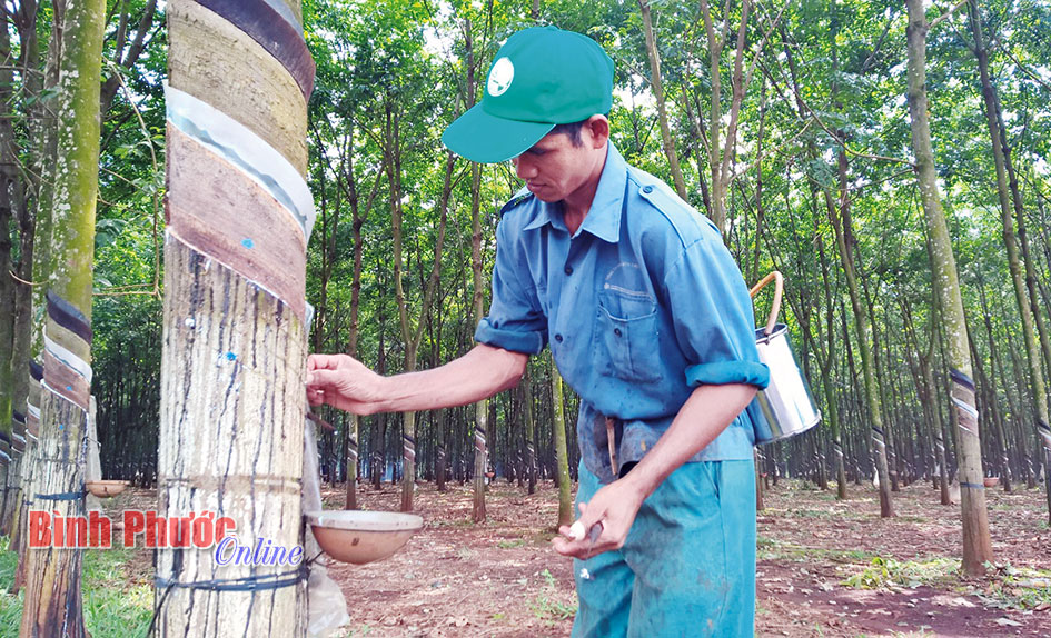 Bệnh nhân phi công người Anh đã có dấu hiệu tỉnh lại