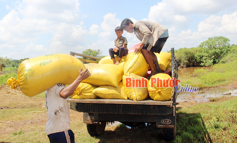 5 giải pháp nâng cao hiệu quả thực hiện an sinh xã hội ở Bù Gia Mập