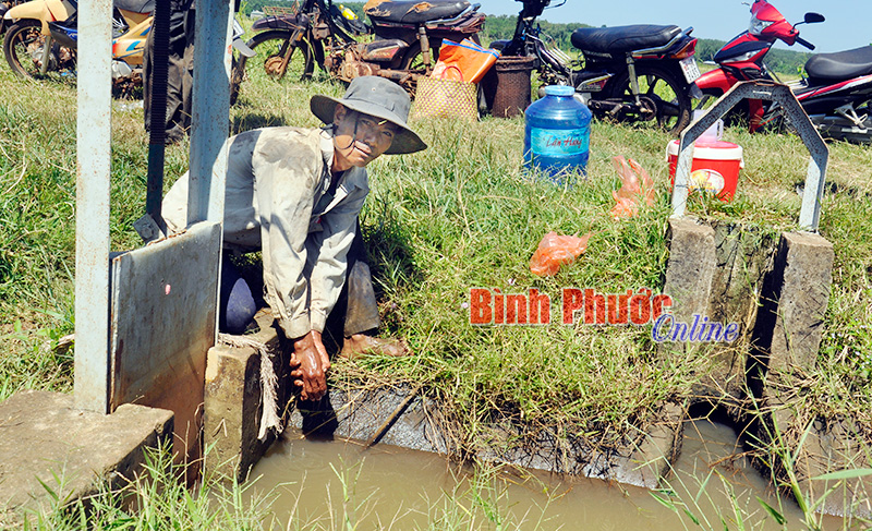 Đang trong mùa mưa nhưng người dân An Khương vẫn phải tận dụng lượng nước ít ỏi dưới mương để chuẩn bị sạ lúa