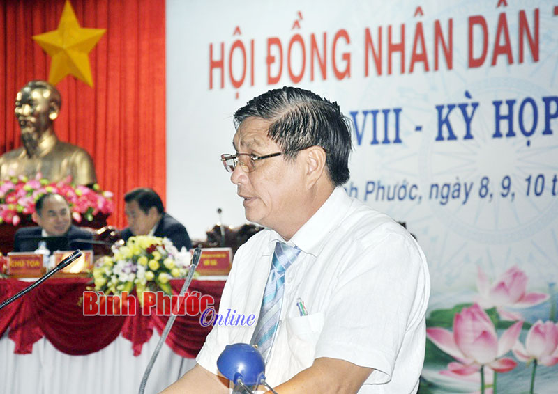 Thay mặt UBND tỉnh, Giám đốc Sở Kế hoạch - Đầu tư Vũ Thành Nam trình bày báo cáo trước kỳ họp - Ảnh: H.T
