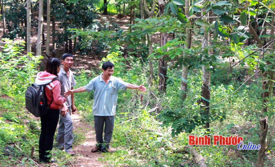 Vụ tranh chấp lối đi ở xã Minh Tâm: Khiếu nại kéo dài do thiếu hiểu biết