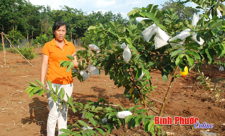 Nữ chi hội trưởng năng động