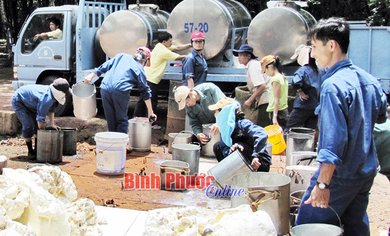 C&ocirc;ng nh&acirc;n c&ocirc;ng ty giờ giao mủ