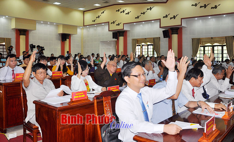 Biểu quyết th&ocirc;ng qua c&aacute;c nghị quyết của kỳ họp