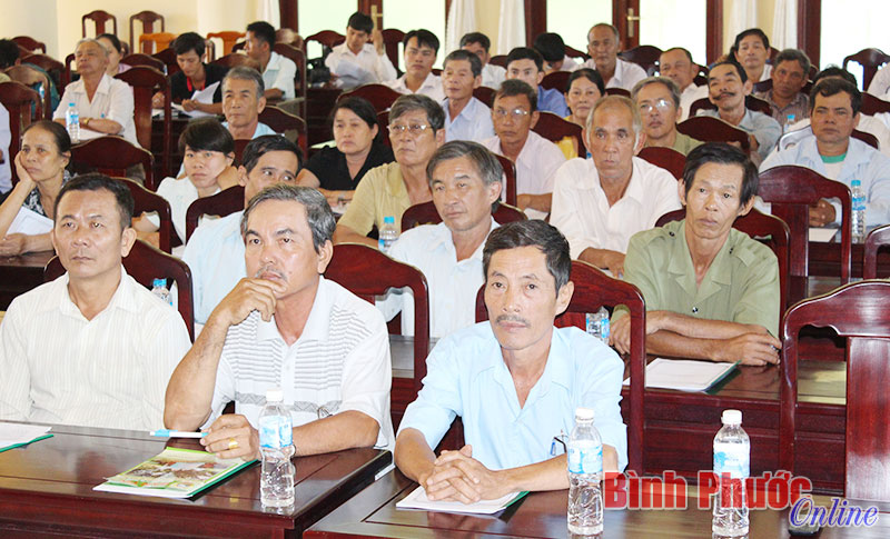 Gợi mở ý tưởng làm giàu cho nông dân