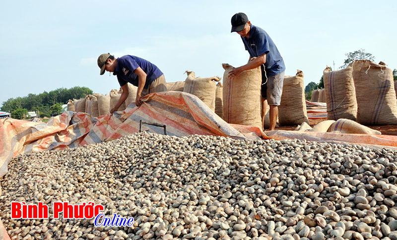 12 giải pháp thực hiện các chỉ tiêu kinh tế