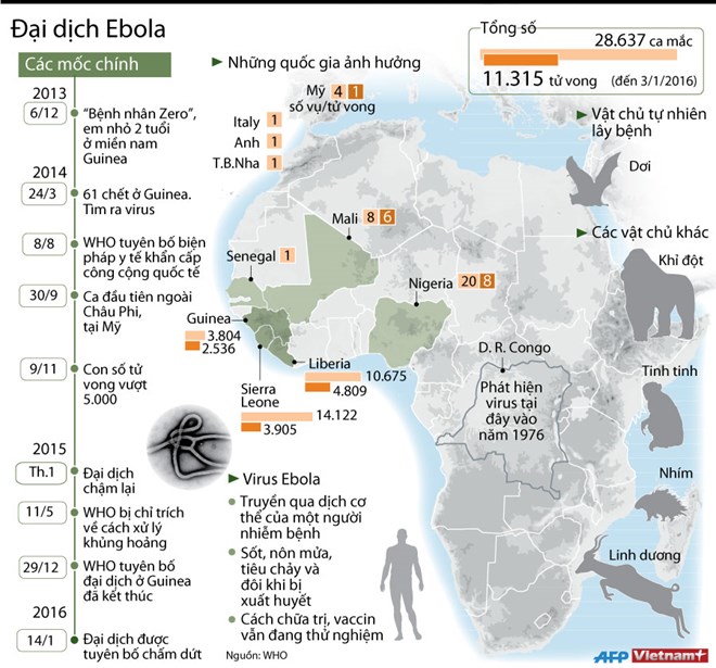 Nhìn lại sức tàn phá kinh hoảng của đại dịch Ebola