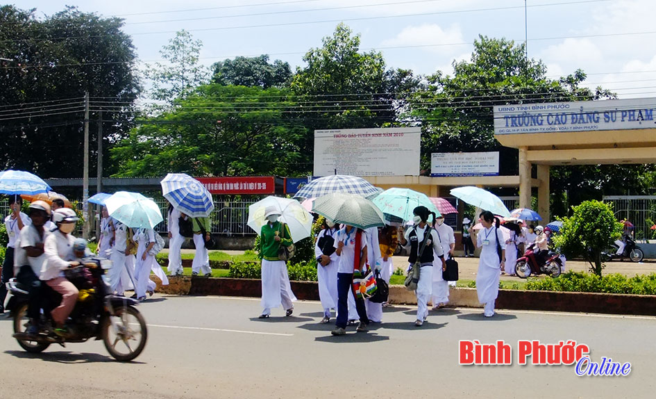 Người đi bộ phạm luật cần được xử nghiêm